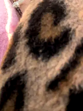 casalinga88 online show from 11.07.25