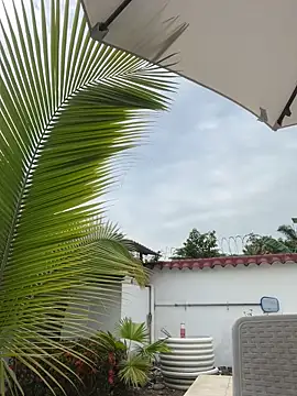 Snapshot of Ema_azel chatting on 02.16.25 Ema azel online show from 02.16.25