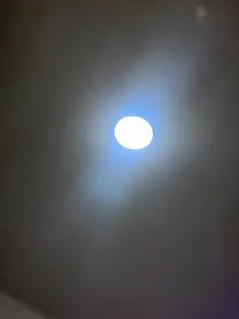 Jules Anderson online show from 02.11.26