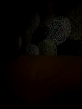 Snapshot of Kristis43 chatting on 10.31.25 Kristis43 online show from 10.31.25