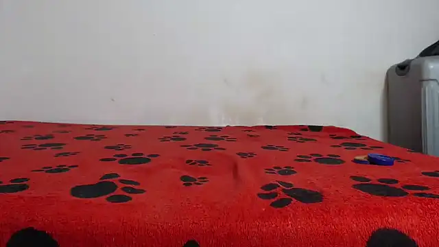 Snapshot of Amazing12inch chatting on 02.12.25 Amazing12inch online show from 02.12.25