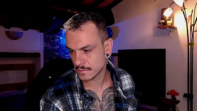 cek 186 online show from 10.12.25