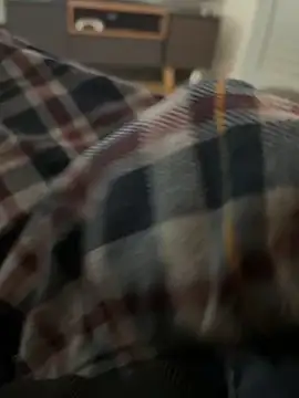 Snapshot of RowdyAlfie233 chatting on 02.06.25 RowdyAlfie233 online show from 02.06.25