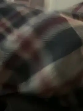 Snapshot of RowdyAlfie233 chatting on 02.06.25 RowdyAlfie233 online show from 02.06.25