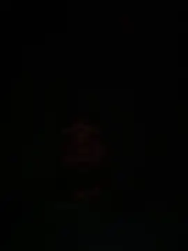 skyandbigdick online show from 06.28.26