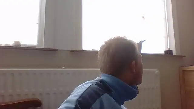 bertolini online show from 10.12.25