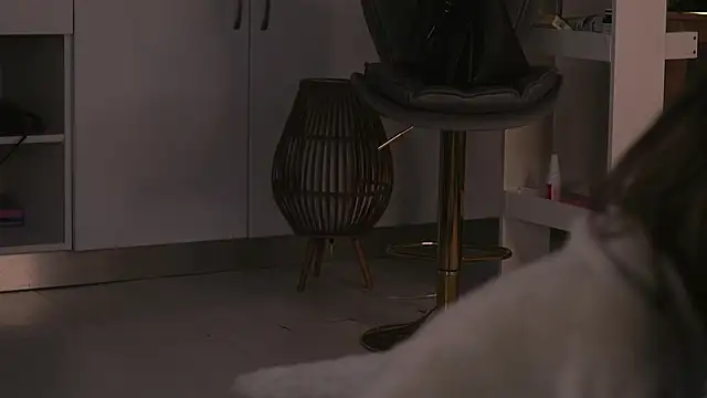 Snapshot of ButterflyLeah chatting on 12.19.25 ButterflyLeah online show from 12.19.25