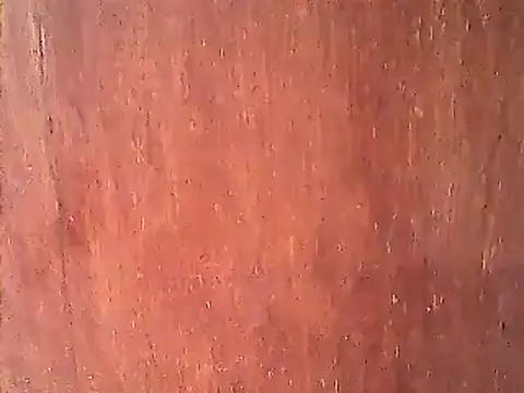 Dirtychubby29 online show from 01.14.25