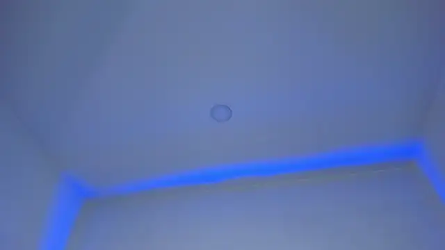 Mara Betancurt online show from 12.28.24