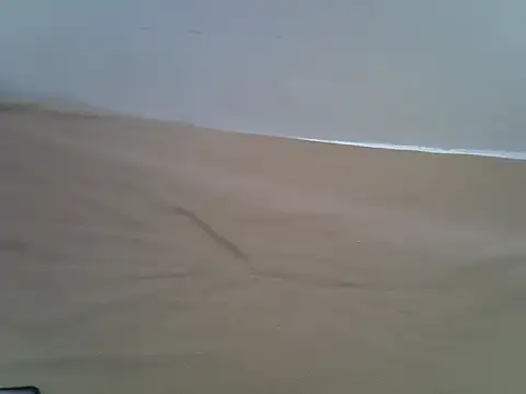 hey its andreana online show from 11.19.25