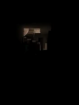 RIP Curl online show from 11.28.25