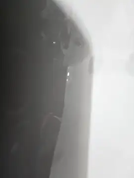 gordito xx online show from 02.22.25