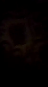 Snapshot of WreckedCrop chatting on 03.02.25 WreckedCrop online show from 03.02.25