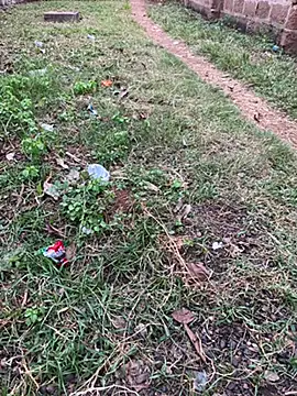 Snapshot of Black-mamba-madingo chatting on 10.29.25 Black-mamba-madingo online show from 10.29.25