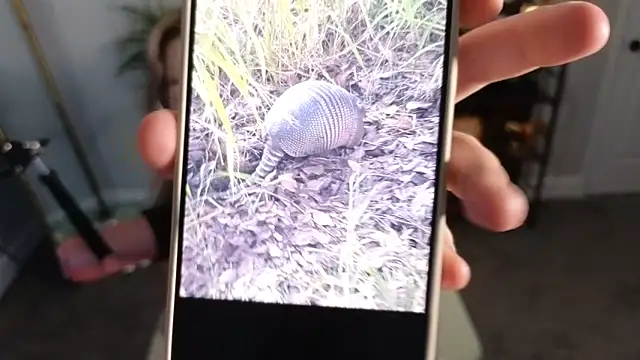 Snapshot of rodeobrii chatting on 11.17.25 rodeobrii online show from 11.17.25