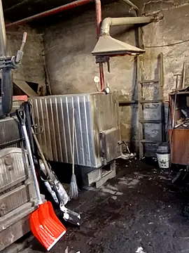 MityaXLoves online show from 01.19.26