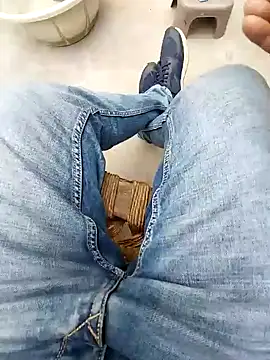 Snapshot of indobigboss chatting on 01.02.25 indobigboss online show from 01.02.25