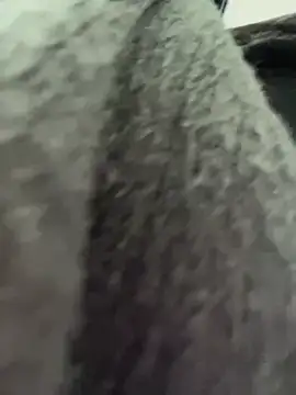 Snapshot of RinaCat chatting on 01.06.25 RinaCat online show from 01.06.25