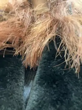 Snapshot of RinaCat chatting on 01.09.25 RinaCat online show from 01.09.25