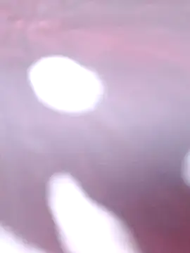 Priya Bong online show from 12.16.25