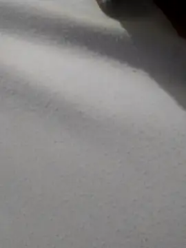  Miaaleon online show from 11.16.25