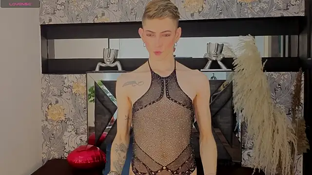 dominic thailor online show from 02.13.26