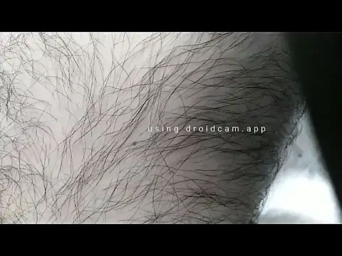 andrew co online show from 03.20.26