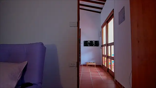 Snapshot of Lauren_A chatting on 01.17.25 Lauren A online show from 01.17.25