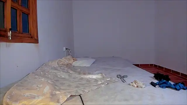 Snapshot of Lauren_A chatting on 01.31.25 Lauren A online show from 01.31.25