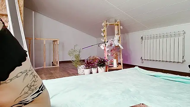 Meowroslava online show from 11.19.25