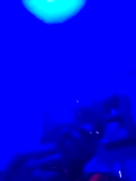 Brian johns online show from 03.23.26