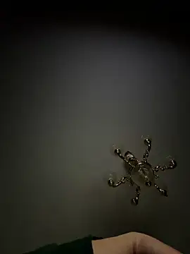 Jose rz online show from 03.23.26