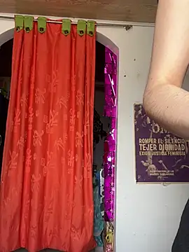 Snapshot of _Artemisa_X chatting on 02.18.25 Artemisa X online show from 02.18.25