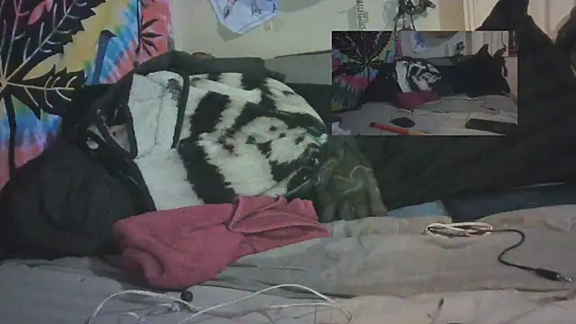 jaxx12369 online show from 02.11.25