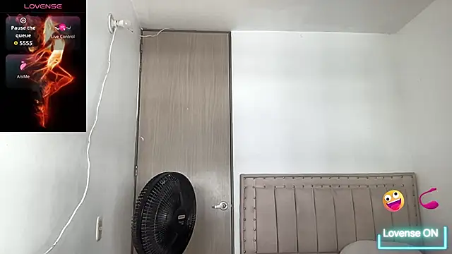 bob petterson online show from 11.12.25