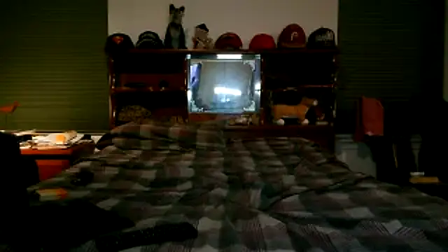 Snapshot of pimpdaddy4ever chatting on 11.18.25 pimpdaddy4ever online show from 11.18.25