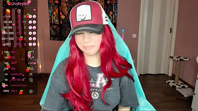 Snapshot of Project_hisoka chatting on 01.02.25 Project hisoka online show from 01.02.25