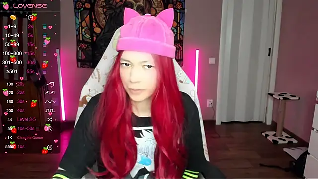 Snapshot of Project_hisoka chatting on 01.12.25 Project hisoka online show from 01.12.25