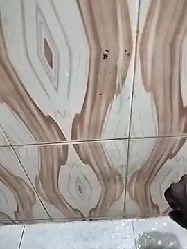 bas1cooks online show from 11.01.25