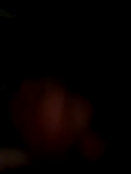 Snapshot of MynameisPaco chatting on 11.11.25 MynameisPaco online show from 11.11.25