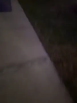 MynameisPaco online show from 12.20.25