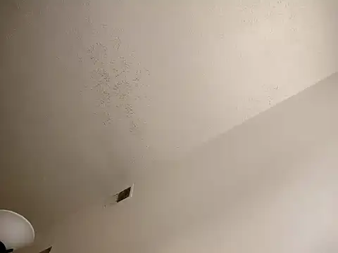 Snapshot of Barrentine88 chatting on 03.18.25 Barrentine88 online show from 03.18.25