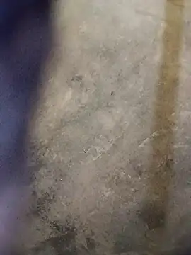 Yasha 14C Creator online show from 10.18.25