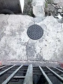 nowex18 online show from 02.20.26