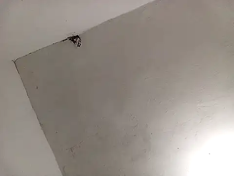 Snapshot of Surreyaa chatting on 02.13.25 Surreyaa online show from 02.13.25