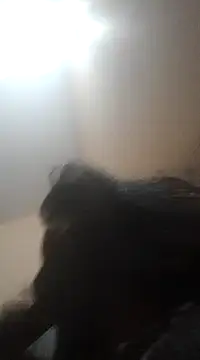 Sajal-03 online show from 12.01.24