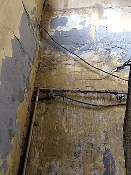 ListedLoin online show from 02.13.26