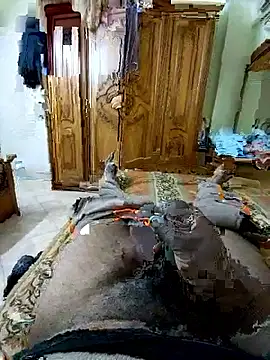 ListedLoin online show from 03.14.26