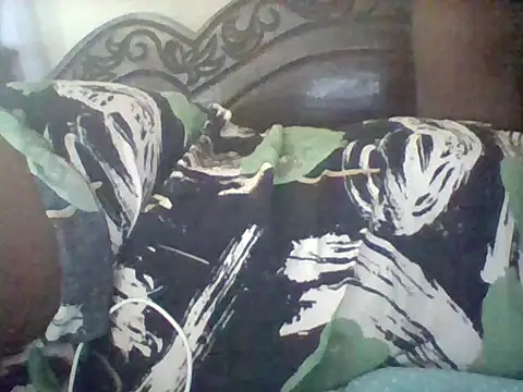 missarpie online show from 02.11.26