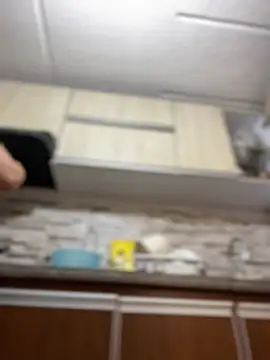 Snapshot of Salome_golvert chatting on 03.02.25 Salome golvert online show from 03.02.25